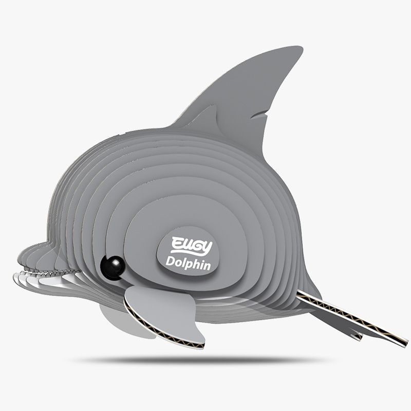 021 Dolphin