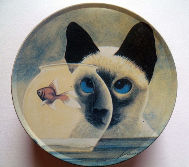 Kitsch 1980&#39;s cat design coasters and tin