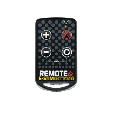 Spare Remote Keyfob Transmitter (New System)