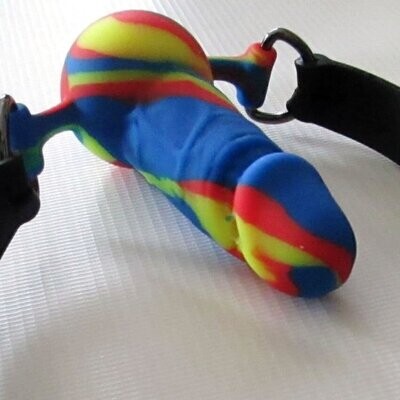 Rainbow Silicone Penis Ball Gag