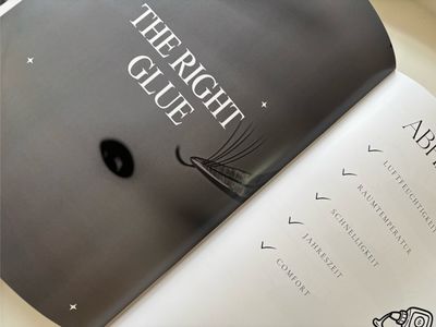 WORKBOOK - Grundlagen Wimpernverlängerung VORGÄNGER VERSION