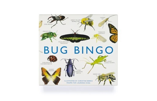 Bug Bingo - Card Game