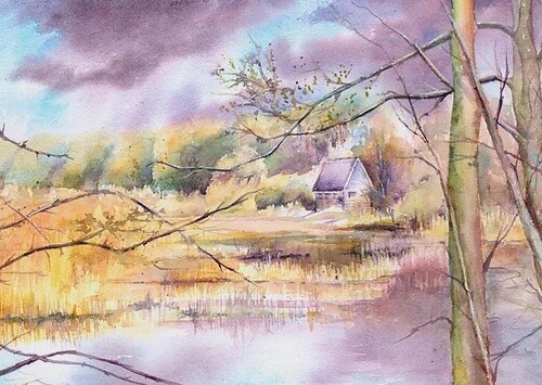 Anjana Cawdell -  Attenborough Delta Hide Card