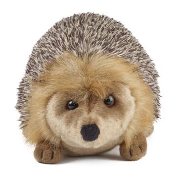 Keycraft - Hedgehog Soft Toy Large - Living Nature
