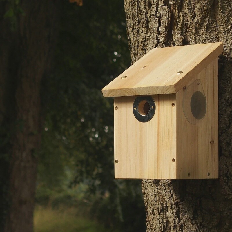 Wildlife World - Camera Ready Nest Box