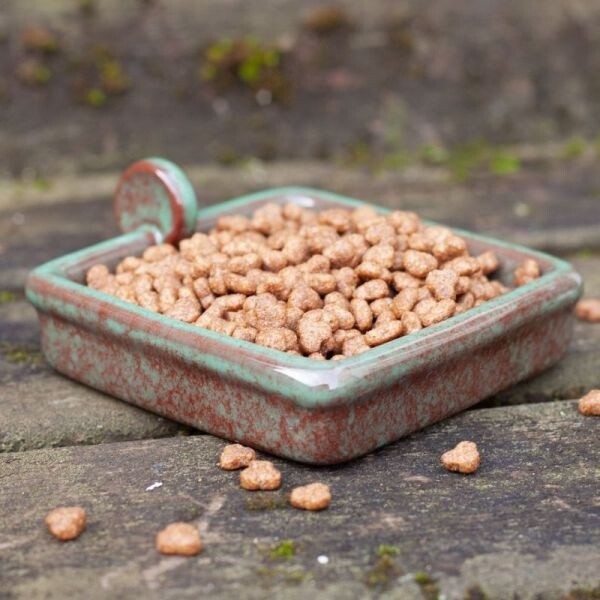 Wildlife World - Hedgehog Snack Bowl