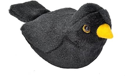 Bizoo - Singing Bird - Blackbird