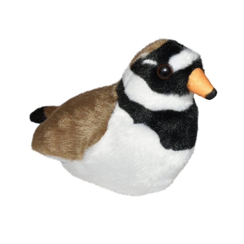 Bizoo - Singing Bird - Ringed Plover