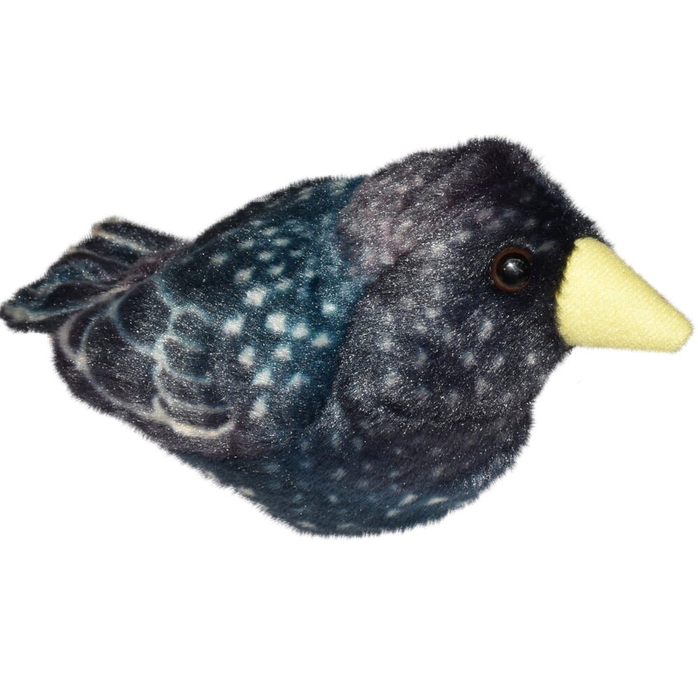 Bizoo - Singing Bird - Starling