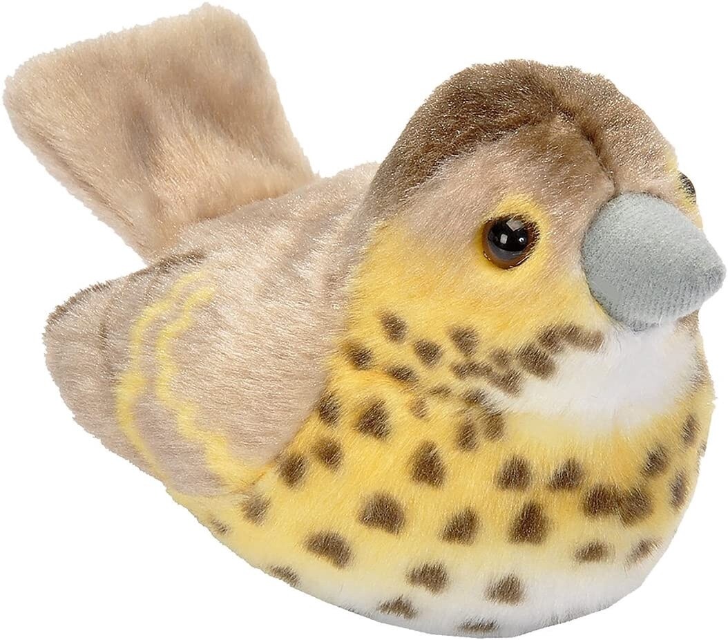 Bizoo - Singing Bird - Song Thrush