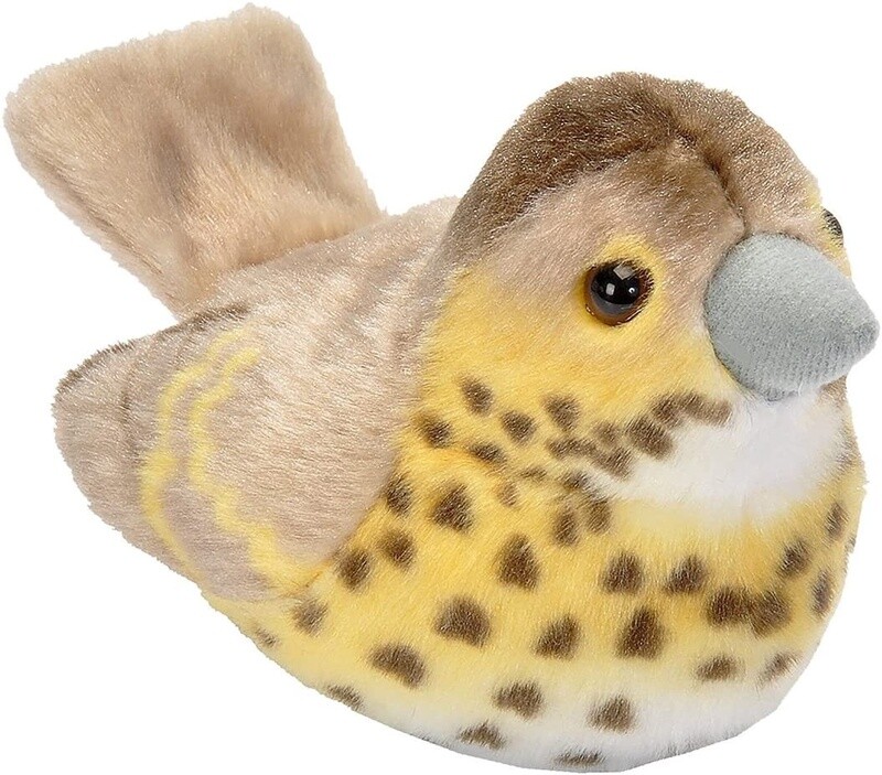 Bizoo - Singing Bird - Song Thrush