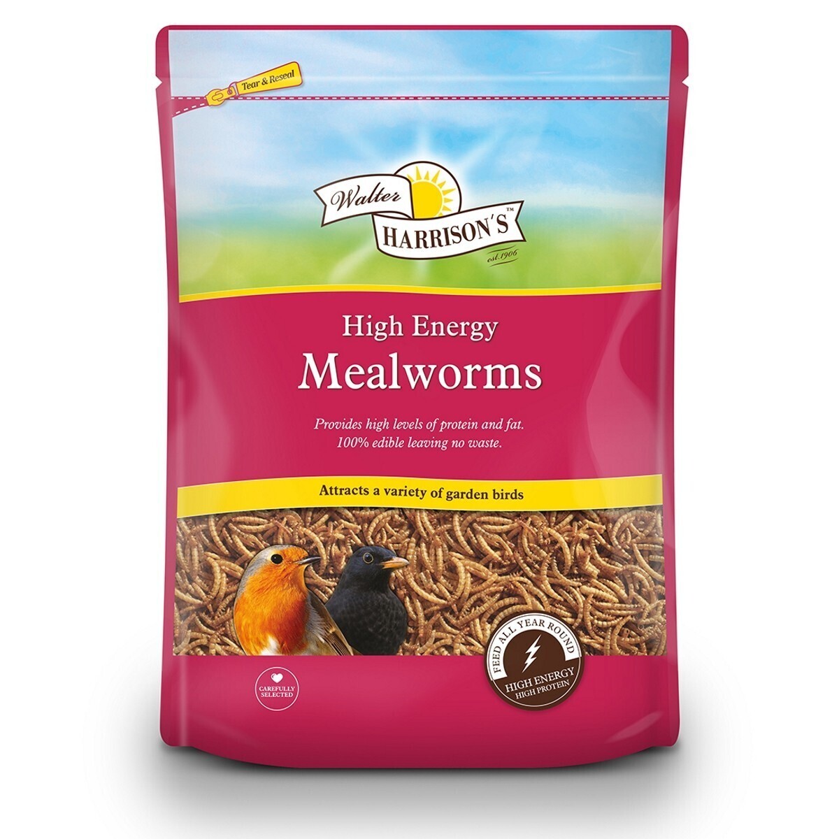 Walter Harrison&#39;s - High Energy Mealworms - 500g