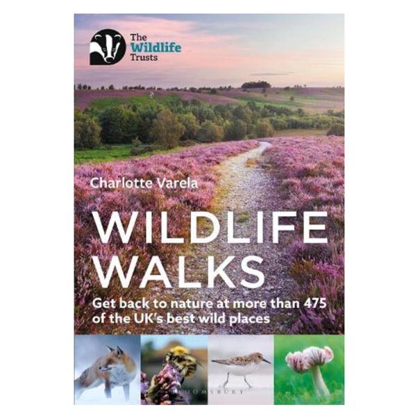Wildlife Walks: Get Back To Nature - Paperback Book