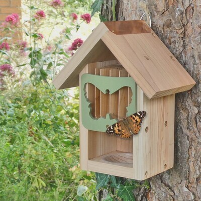 Bees, Bugs &amp; Butterflies