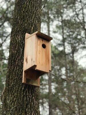 Bird Houses