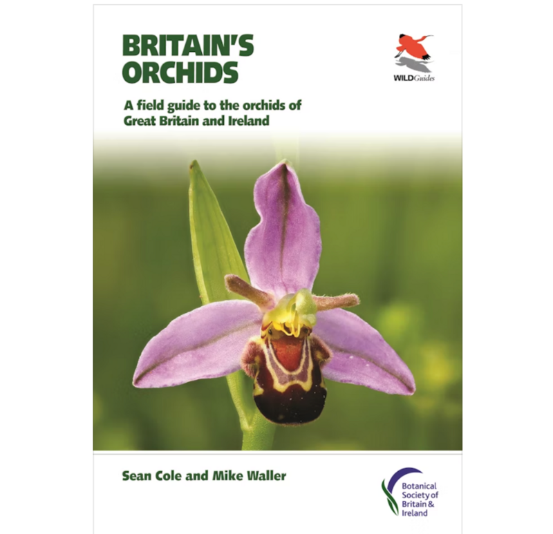 Britain&#39;s Orchids: A Field Guide to the Orchids of Great Britain and Ireland - WILDGuides - Paperback Book