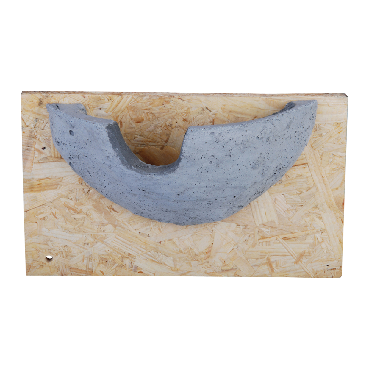 Fallen Fruits - House Martin Nest