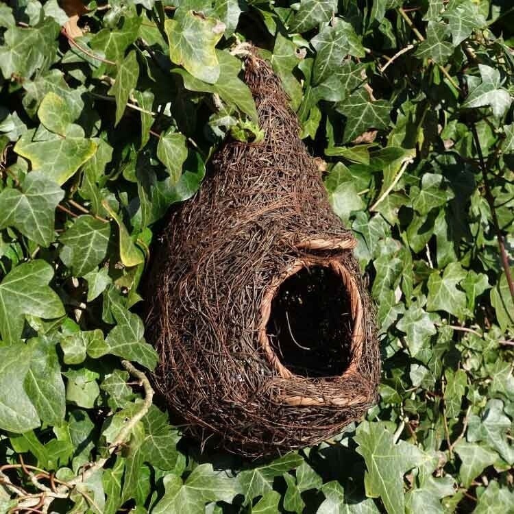 Wildlife World - Giant Robin Nest Pocket