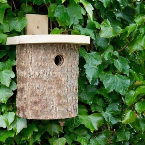 Wildlife World - Tit - Log Box