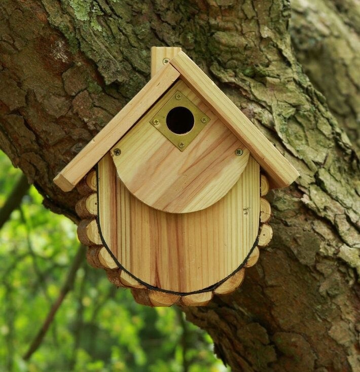 Wildlife World - Forest Nest Box