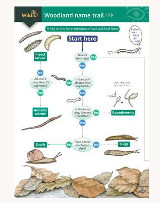FSC - The Woodland Name Trail