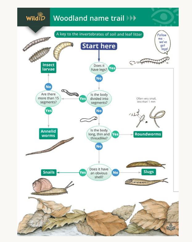 FSC - The Woodland Name Trail