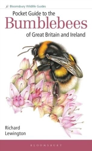 Bumblebee Pocket Guide - Paperback Book