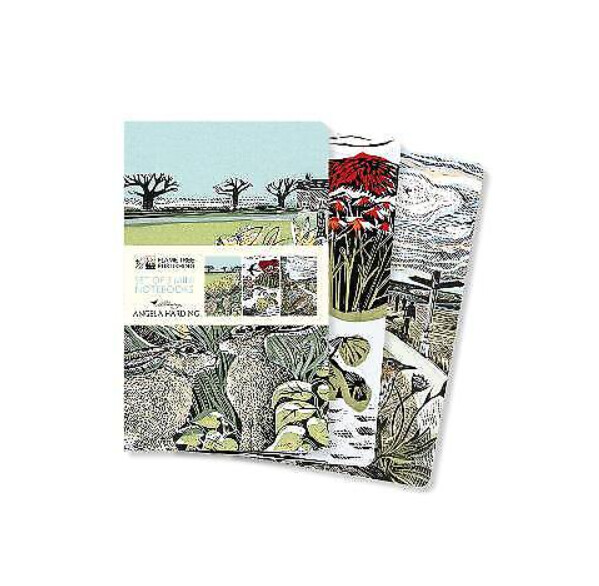Flame Tree Publishing - Angela Harding - Set of 3 Midi Notebooks - Landscapes