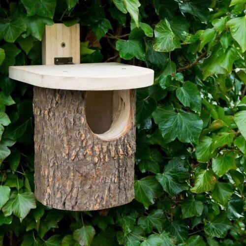 Wildlife World - Natural Log Robin Box