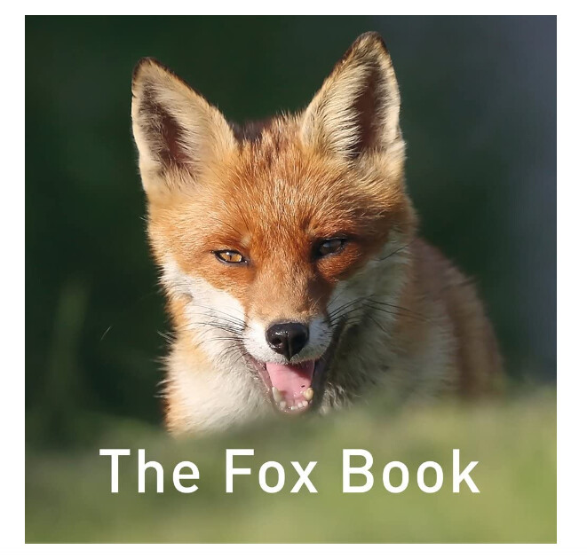 The Fox - Hardback Book