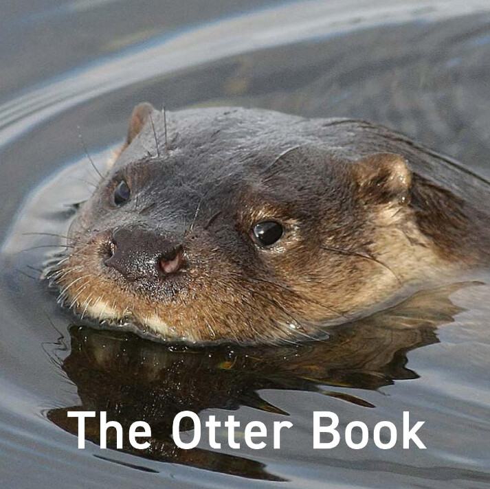The Otter - Hardback Book