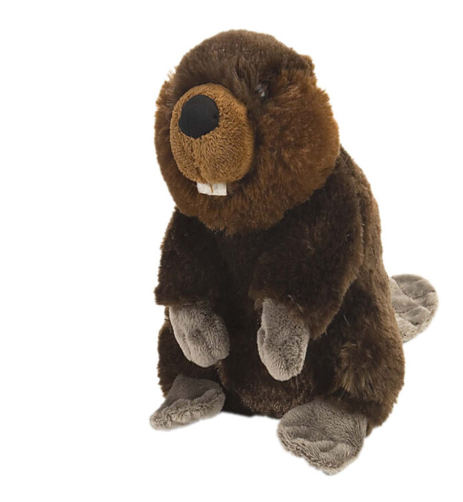 Bizoo - Small Beaver