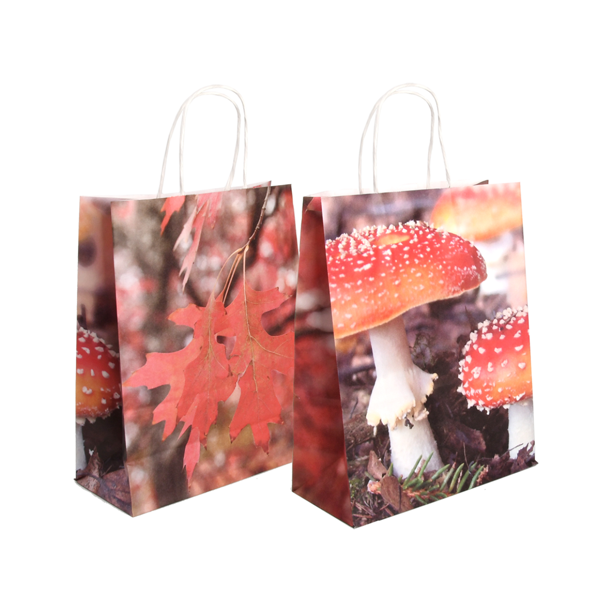 Fallen Fruits - Toadstool Paper Bag