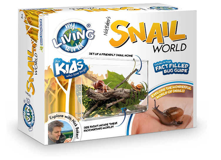Snail World - Build a Snail Home Study Kit
