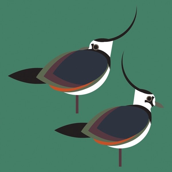 The Art File - Lapwings Card - i like birds
