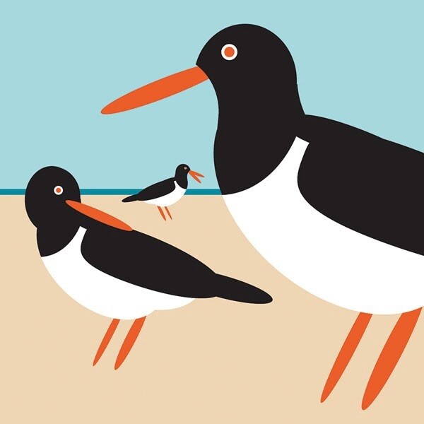 The Art File - Oystercatcher Card - i like birds