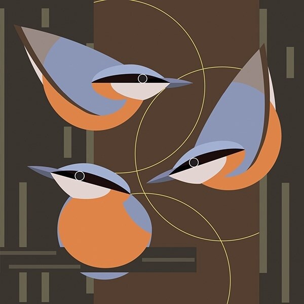 The Art File - Nuthatch Card - i like birds