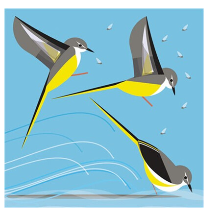 The Art File - Grey Wagtail - i like birds