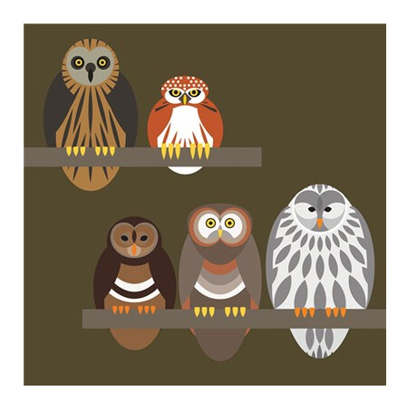 The Art File - Owls Card - i like birds