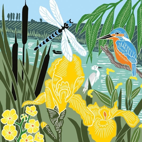 The Art File - Kingfisher and Dragonfly Card - Kate Heiss