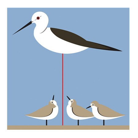 The Art File - Stilt &amp; Stint - i Like Birds Card