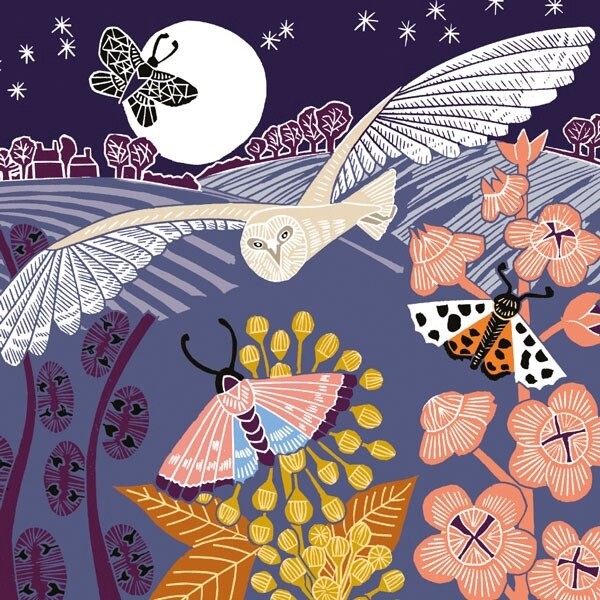 The Art File - Owl at Night Card - Kate Heiss