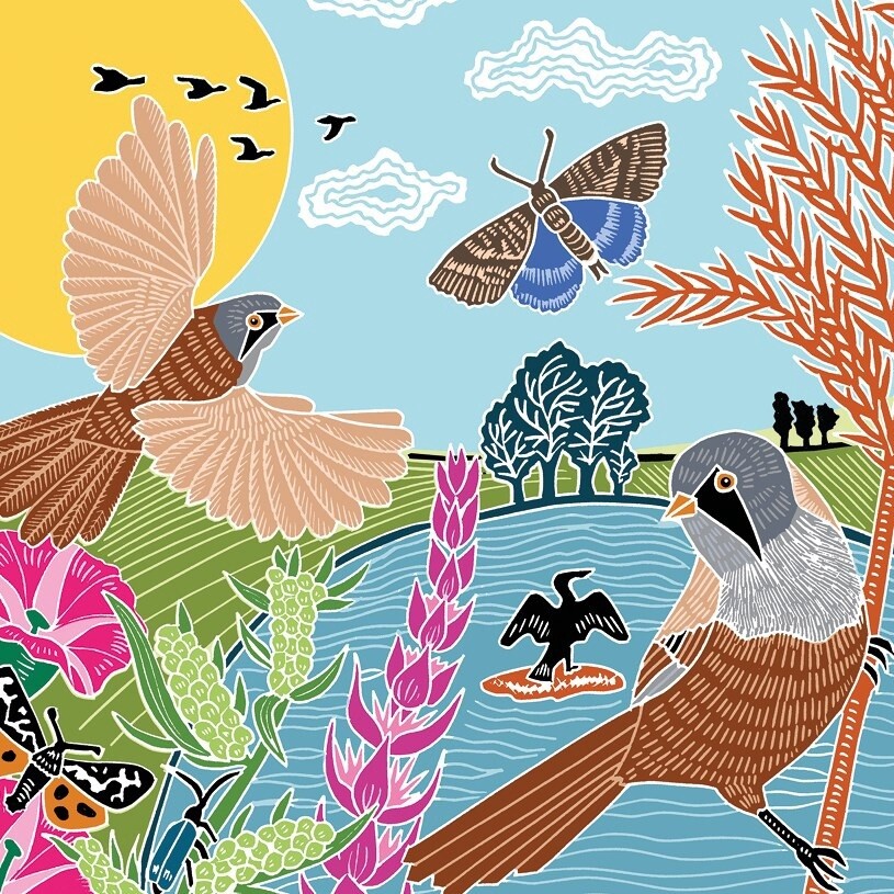 The Art File - Nature Trail Card - Kate Heiss