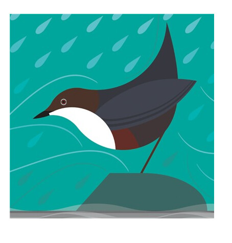 The Art File - Dipper Card - i like birds