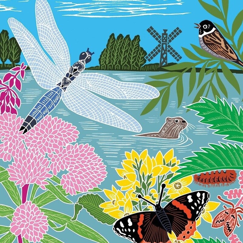 The Art File - Dragonfly Card - Kate Heiss