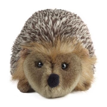Keycraft - Hedgehog - Medium - Living Nature