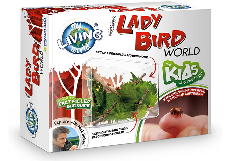 Lady Bird World - Build a Home Study Kit