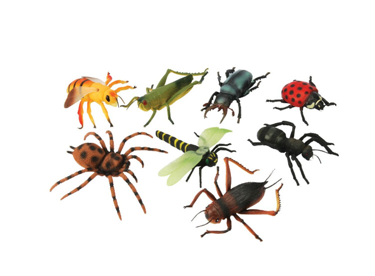 Keycraft - Giant Insects