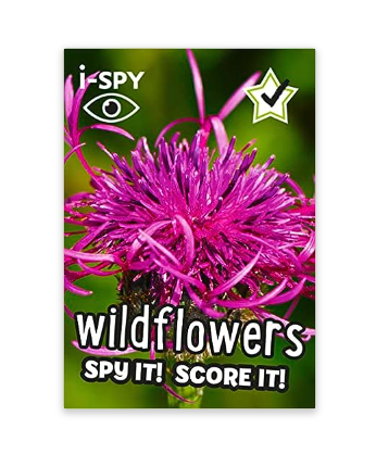 i-Spy Wildflowers - Paperback Book