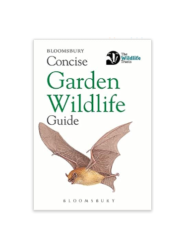 Concise Guide - Garden Wildlife - Paperback Book